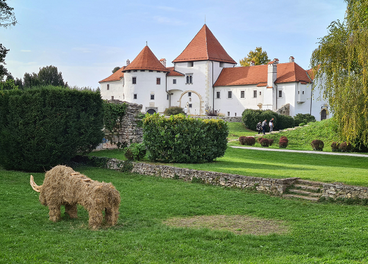 Beograd - Varaždin